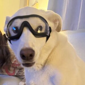 Meet your Posher, Sami